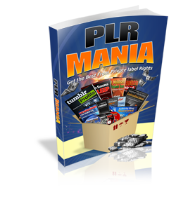 PLR-Mania-Ebook